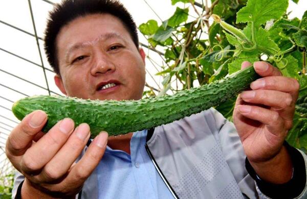 生鲜食材配送为什么大多不能与客户建立长期合作？