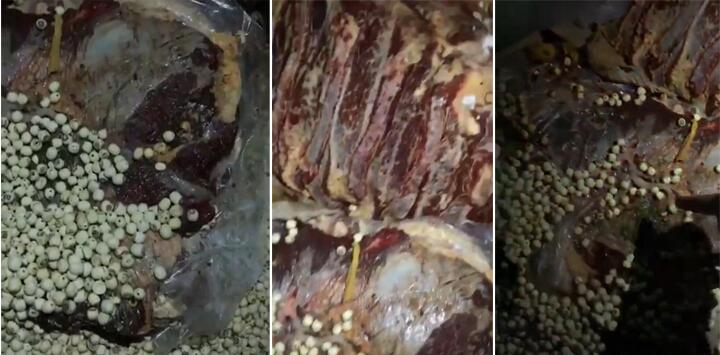 成都七中被曝给学生喂猪食 食堂承包商竟服务10万学生